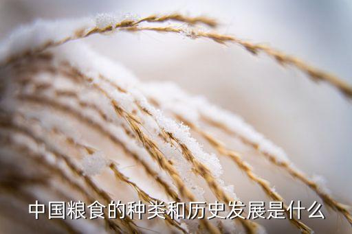 中國(guó)糧食的種類和歷史發(fā)展是什么