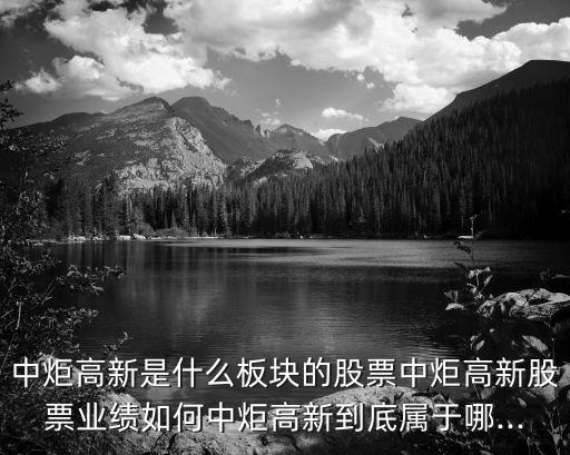 中炬高新是什么板塊的股票中炬高新股票業(yè)績(jī)?nèi)绾沃芯娓咝碌降讓儆谀?..