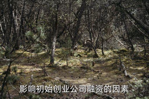 影響初始創(chuàng)業(yè)公司融資的因素