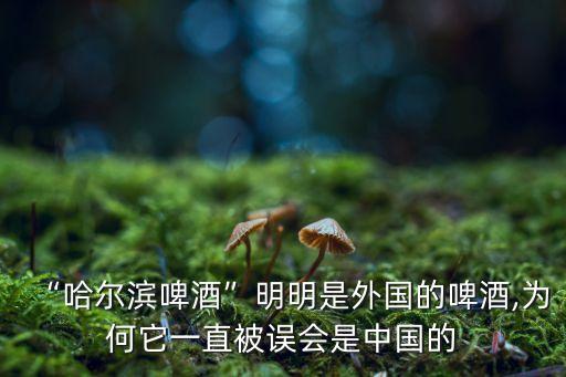 “哈爾濱啤酒”明明是外國的啤酒,為何它一直被誤會(huì)是中國的