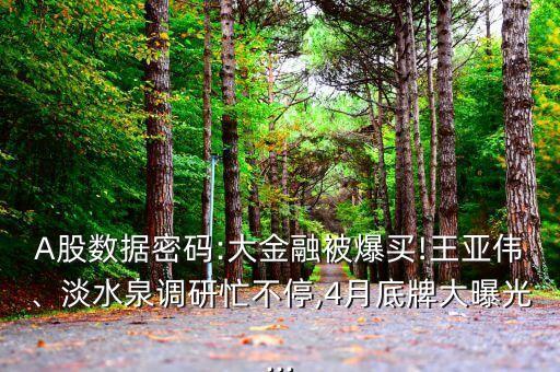 A股數(shù)據(jù)密碼:大金融被爆買!王亞偉、淡水泉調(diào)研忙不停,4月底牌大曝光...
