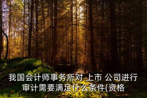 我國會計師事務(wù)所對 上市 公司進(jìn)行審計需要滿足什么條件(資格