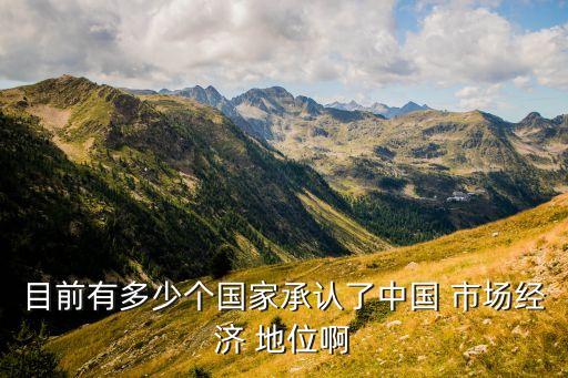 市場(chǎng)在中國的地位,承認(rèn)中國市場(chǎng)地位
