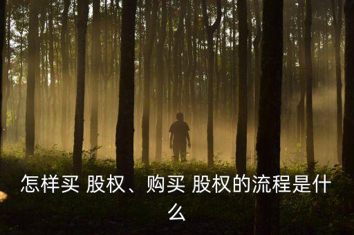 怎樣買 股權(quán)、購(gòu)買 股權(quán)的流程是什么