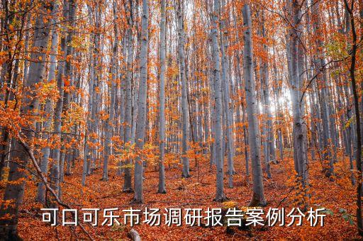  可口可樂市場(chǎng)調(diào)研報(bào)告案例分析