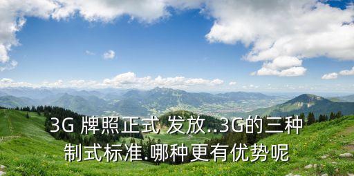 3G 牌照正式 發(fā)放..3G的三種制式標(biāo)準.哪種更有優(yōu)勢呢