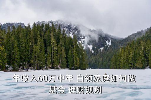 年收入60萬中年 白領(lǐng)家庭如何做 基金 理財(cái)規(guī)劃