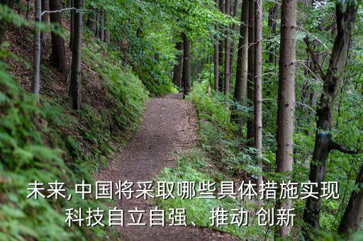  未來,中國將采取哪些具體措施實現(xiàn)科技自立自強、推動 創(chuàng)新