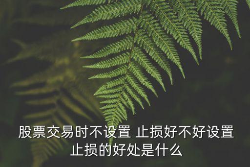 股票有止損嗎,股票怎么設(shè)置止損自動交易
