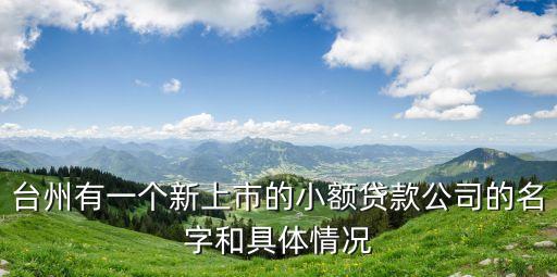 臺州有一個新上市的小額貸款公司的名字和具體情況