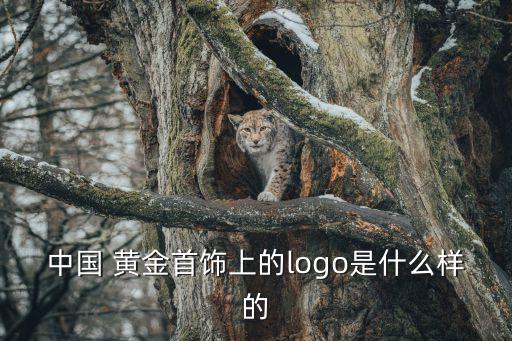 中國 黃金首飾上的logo是什么樣的