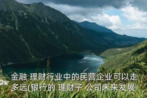 金融投資理財(cái)公司,互聯(lián)網(wǎng)金融投資理財(cái)平臺