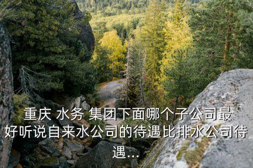  重慶 水務 集團下面哪個子公司最好聽說自來水公司的待遇比排水公司待遇...