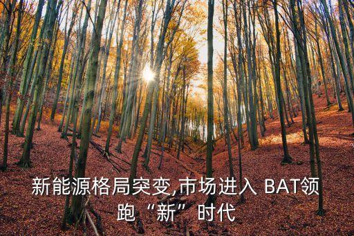 中國民企排行為何沒有BAT,中國最大民企排行
