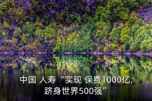 中國(guó) 人壽“實(shí)現(xiàn) 保費(fèi)1000億,躋身世界500強(qiáng)”