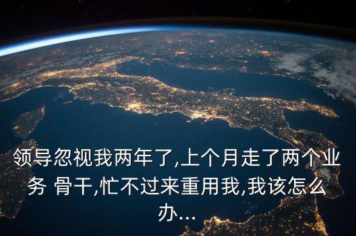 領導忽視我兩年了,上個月走了兩個業(yè)務 骨干,忙不過來重用我,我該怎么辦...