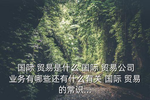  國際 貿(mào)易是什么 國際 貿(mào)易公司業(yè)務有哪些還有什么有關(guān) 國際 貿(mào)易的常識...
