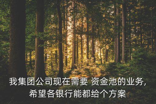 跨國公司外匯資金集中管理,外匯資金集中管理的原則不包括