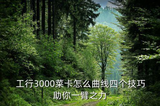  工行3000菜卡怎么曲線四個技巧助你一臂之力