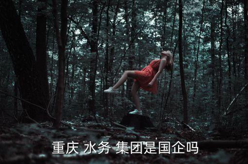  重慶 水務 集團是國企嗎