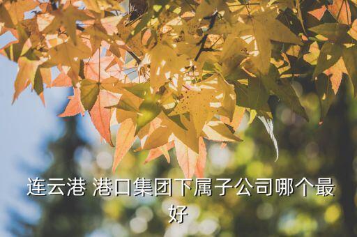  連云港 港口集團(tuán)下屬子公司哪個最好