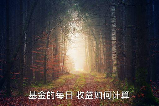 基金的每日 收益如何計算