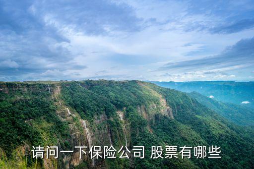 請問一下保險(xiǎn)公司 股票有哪些
