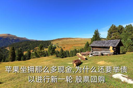 蘋果坐擁那么多現(xiàn)金,為什么還要舉債以進(jìn)行新一輪 股票回購(gòu)