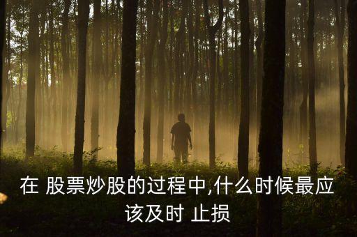 在 股票炒股的過程中,什么時(shí)候最應(yīng)該及時(shí) 止損