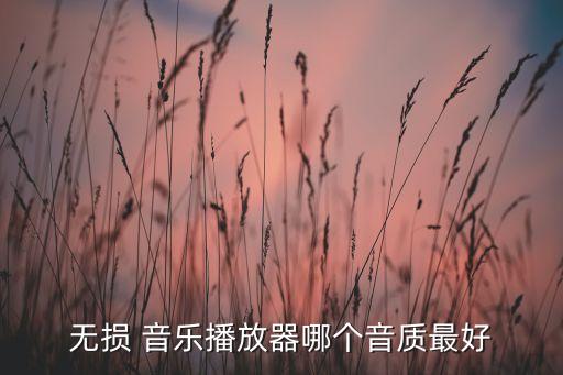 無(wú)損 音樂(lè)播放器哪個(gè)音質(zhì)最好