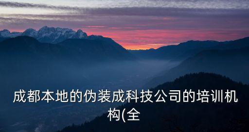  成都本地的偽裝成科技公司的培訓機構(全