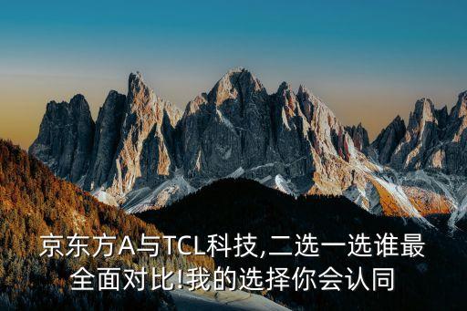 tcl的投資價(jià)值,TCL投資活動