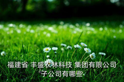豐盛控股集團(tuán),杭州豐盛控股集團(tuán)有限公司