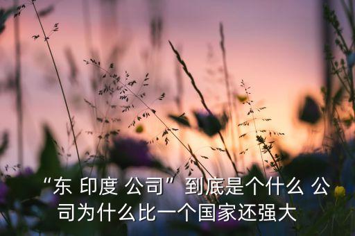 “東 印度 公司”到底是個什么 公司為什么比一個國家還強(qiáng)大
