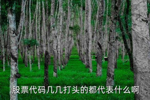  股票代碼幾幾打頭的都代表什么啊