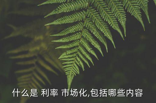 什么是 利率 市場化,包括哪些內容