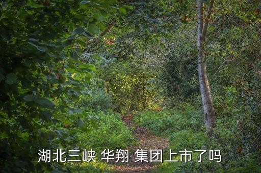 湖北三峽 華翔 集團上市了嗎
