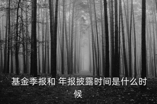  基金季報和 年報披露時間是什么時候