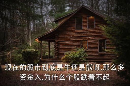 現(xiàn)在的股市到底是牛還是熊呀,那么多資金入,為什么個股跌著不起