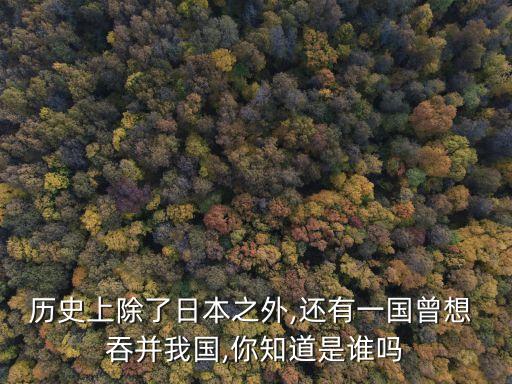 歷史上除了日本之外,還有一國(guó)曾想 吞并我國(guó),你知道是誰(shuí)嗎