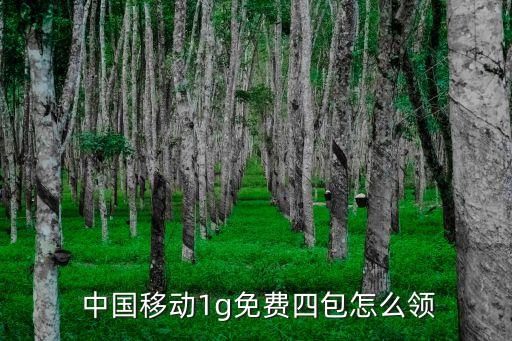 中國移動的流量改革