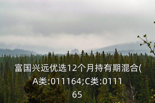  富國(guó)興遠(yuǎn)優(yōu)選12個(gè)月持有期混合(A類:011164;C類:011165