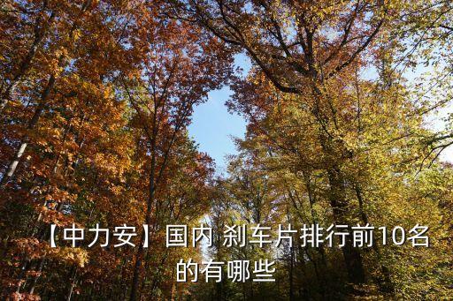 高鐵剎車片北京,中國(guó)高鐵的剎車片是哪家做的