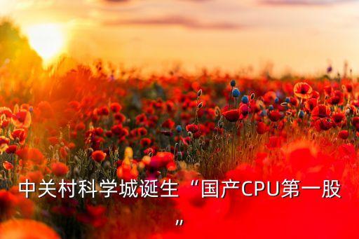 中關(guān)村科學(xué)城誕生“國(guó)產(chǎn)CPU第一股”