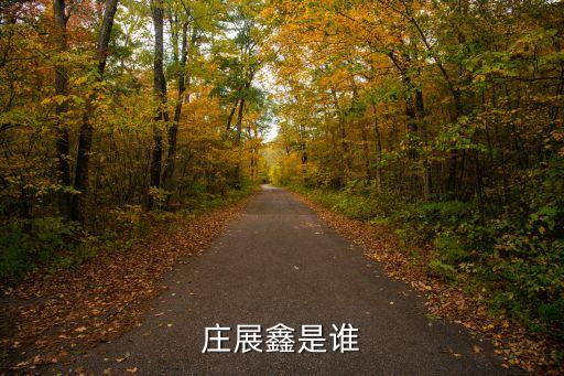 洋浦建運投資有限公司,洋浦國際投資咨詢有限公司是國企嗎