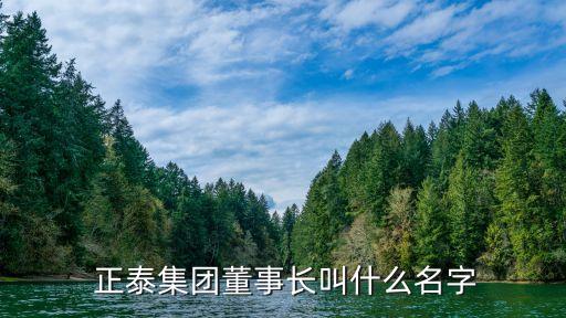  正泰集團(tuán)董事長(zhǎng)叫什么名字