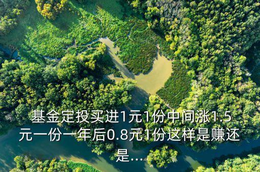  基金定投買(mǎi)進(jìn)1元1份中間漲1.5元一份一年后0.8元1份這樣是賺還是...