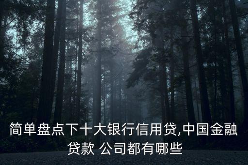 簡單盤點下十大銀行信用貸,中國金融 貸款 公司都有哪些