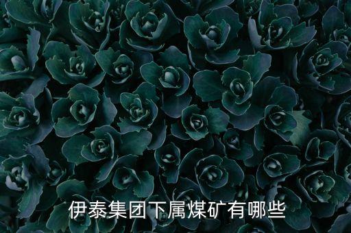 內蒙古伊泰投資有限責任公司