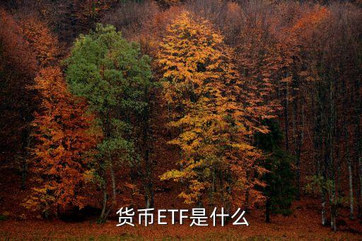  貨幣ETF是什么